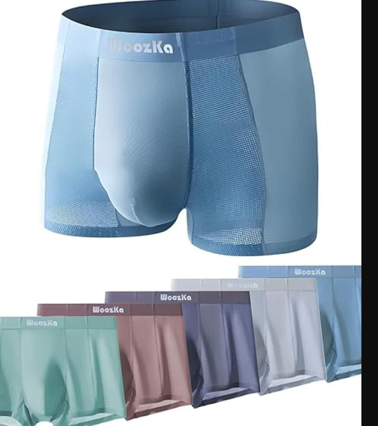 Men's Shorts Underwear Men's Brief Boxer Multicolor